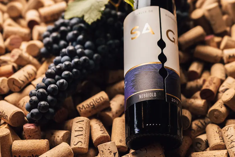 Vinícola_Nebbiolo-3